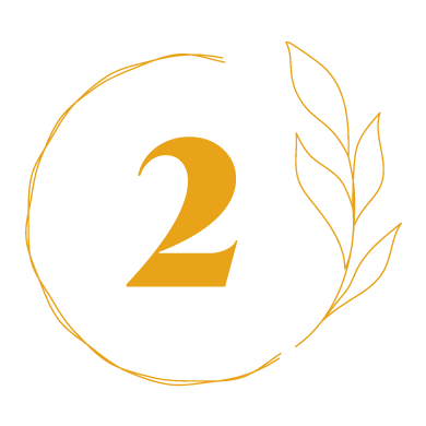icon2